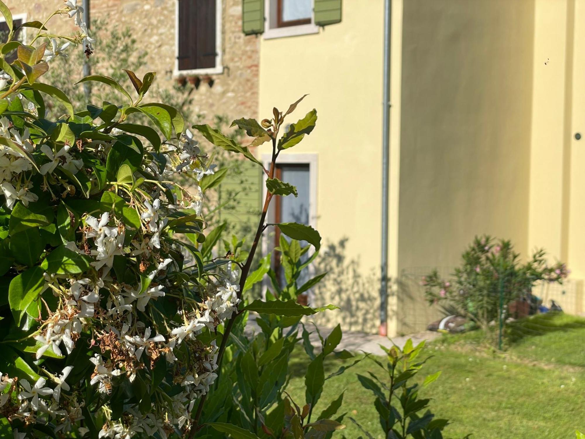 Casa Carlotte - Lago Di Garda Lazise Exteriör bild