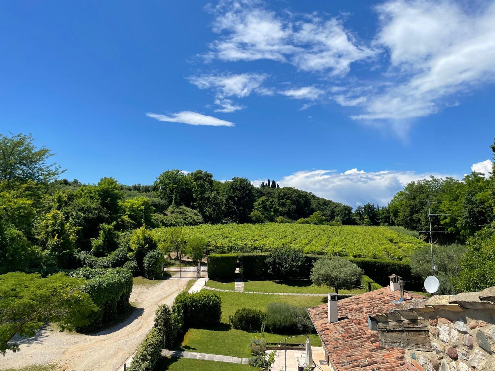 Casa Carlotte - Lago Di Garda Lazise Exteriör bild